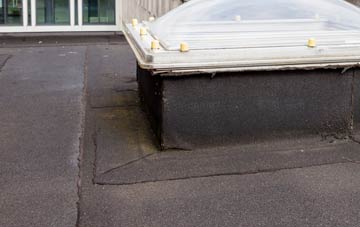 disadvantages of Backaland flat roofs