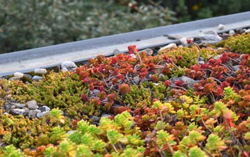 the cost of Backaland green roof installation