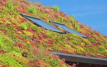 Backaland living roof systems