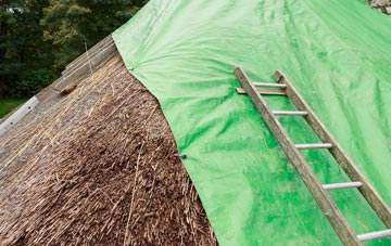 maintaining Backaland thatch