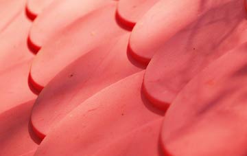 Backaland plastic roof costs