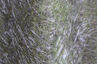 Backaland fibreglass roof work